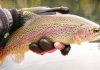 Córdoba reglamentó la temporada de pesca 2026-7