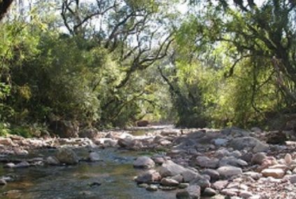 Parque Nacional El Rey