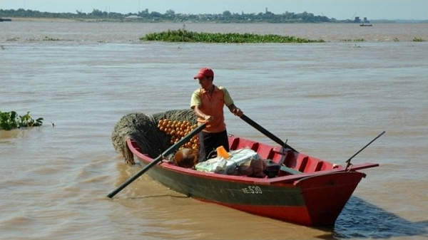 Pesca Comercial en nuestros ríos - Revista Aire Libre
