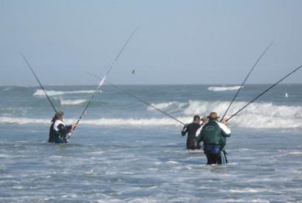Pesca de costa