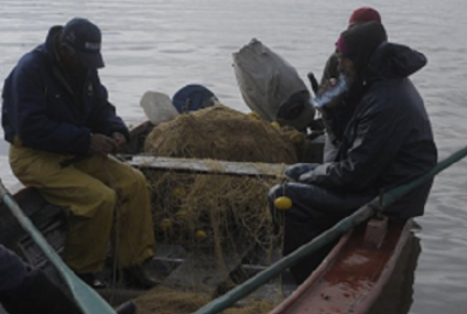 Pesca Comercial: Controles y Cupos