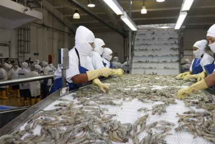 La Pesca Comercial