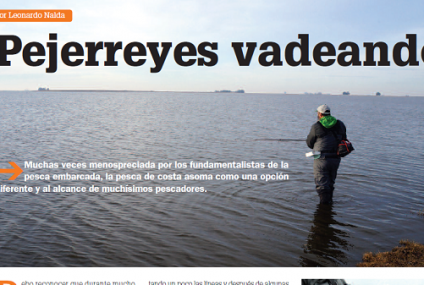 Pejerreyes vadeando: la pesca de costa