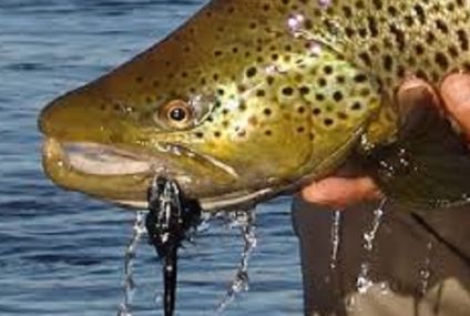 Pescando en Neuquén