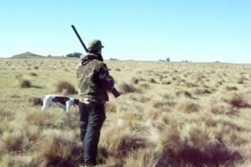 Temporada de caza 2023 – La Pampa