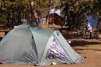 La carpa en el bolsillo