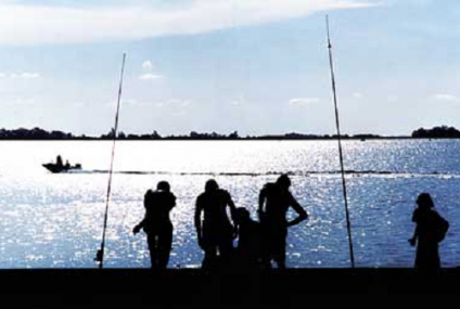 Junín se mueve al ritmo de la pesca