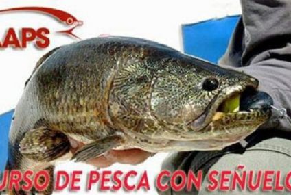 Curso de Pesca con Señuelos