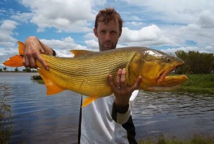 Concursos de Pesca en Gualeguay
