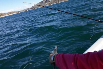 Concurso de pesca en San Rafael – Mendoza
