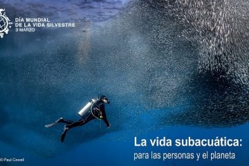 Vida subacuática: para las personas y el planeta