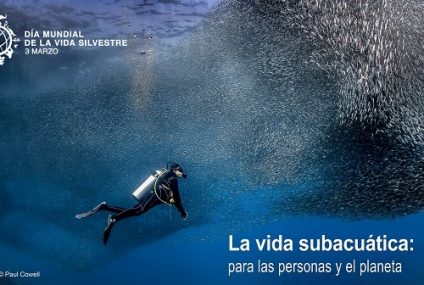 Vida subacuática: para las personas y el planeta