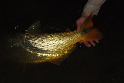 Pescando en Salta