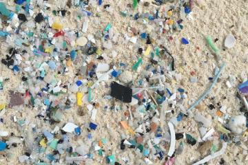 El plástico en los mares