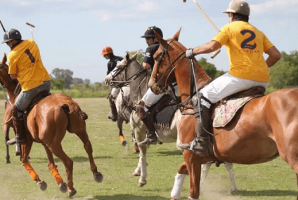Argentina Polo Day