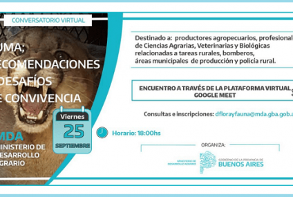 Charlas de capacitación