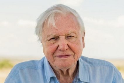 Sir David Attenborough alcanzó los seis millones de seguidores
