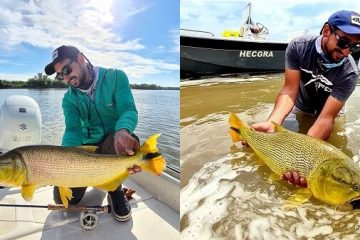 Pesca de dorados