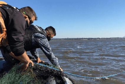 Pesca ilegal