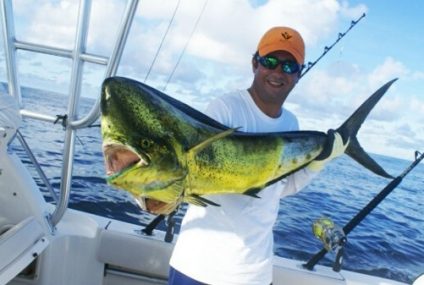 De Alaska a la Argentina: Las 5 mejores experiencias de pesca en América