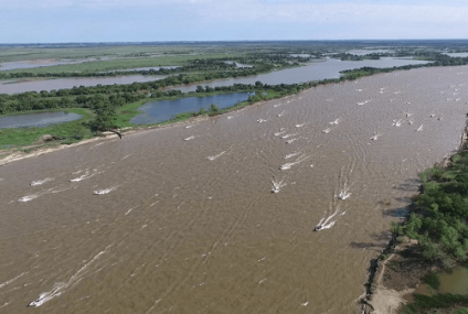 Torneos de pesca