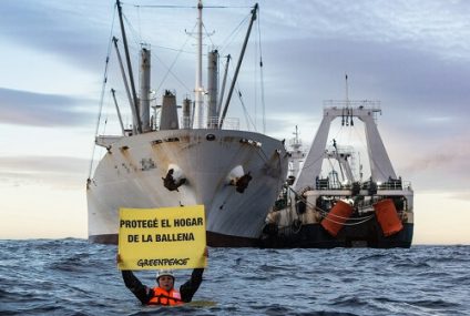Barcos frigoríficos en altamar