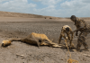 La sequía en África