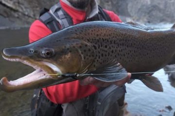 A pescar en Tierra del Fuego