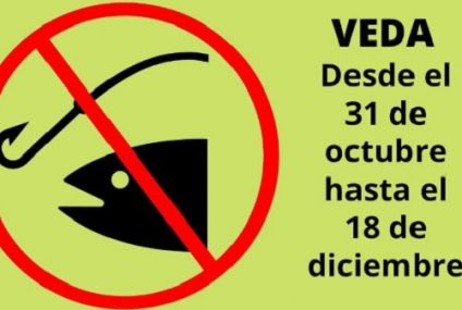 Pescar en Misiones