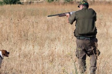 La caza en España