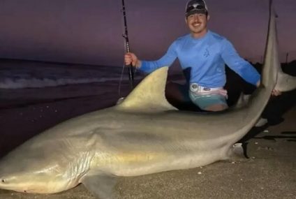 Pesca y Devolución