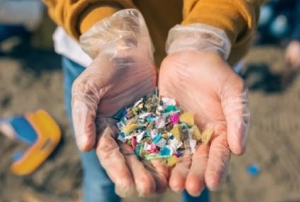 ¿Cuántos años tienen los microplásticos?