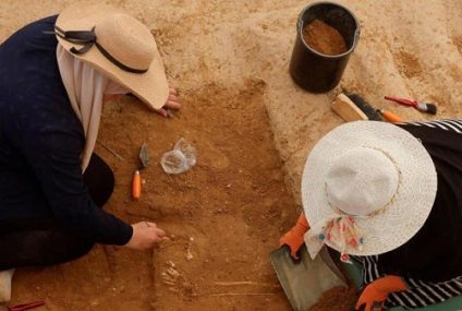 Descubren 125 tumbas en un cementerio romano de Gaza