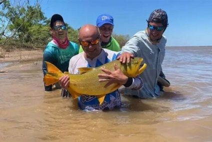 Pescaron un dorado que superó los 15 kilos