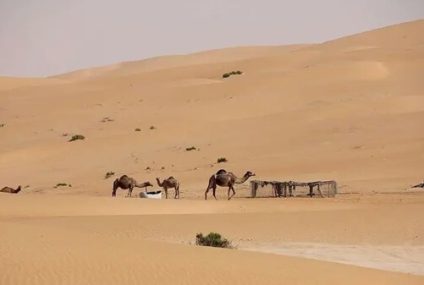 Aventura en el desierto de Abu Dhabi
