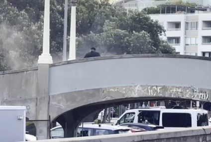 “No hay evidencia de que las estrictas leyes de control de armas de Australia sean efectivas”