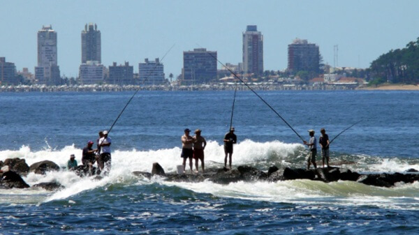 Relevaron el impacto de la pesca recreativa marina en Uruguay