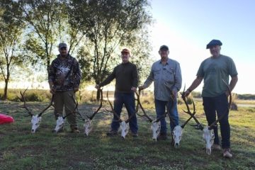 Temporada de Brama 2026