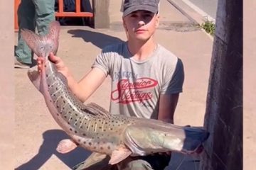 Una forma de mostrar que nuestros ríos siguen vivos