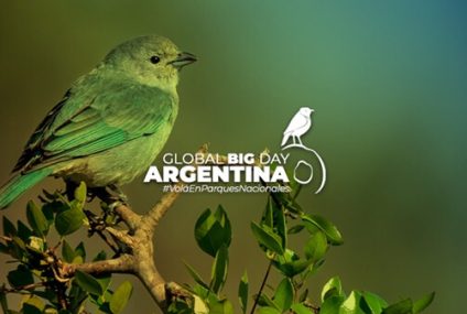 Este sábado se realiza el Global Big Day Argentina