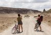 Los safaris en bicicleta eléctrica ganan terreno como la nueva tendencia de aventura