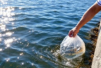 Laguna Chasicó: buscan recuperar la pesca con una nueva siembra de 100 mil pejerreyes Laguna Chasicó: buscan recuperar la pesca con una nueva siembra de 100 mil pejerreyes