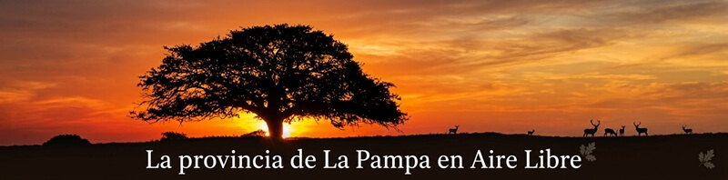 Más notas de La Pampa
