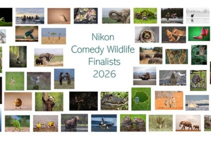 Humor salvaje: Se revelan las fotos finalistas del Nikon Comedy Wildlife Awards 2026 Humor salvaje: Se revelan las fotos finalistas del Nikon Comedy Wildlife Awards 2026