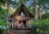 Glamping y naturaleza: El ambicioso plan del grupo francés Huttopia para revolucionar el ecoturismo en Argentina