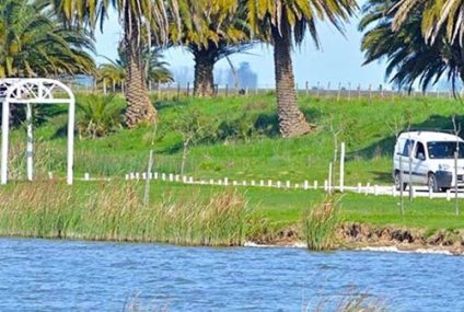 Sembraron 30.000 pejerreyes en una laguna bonaerense